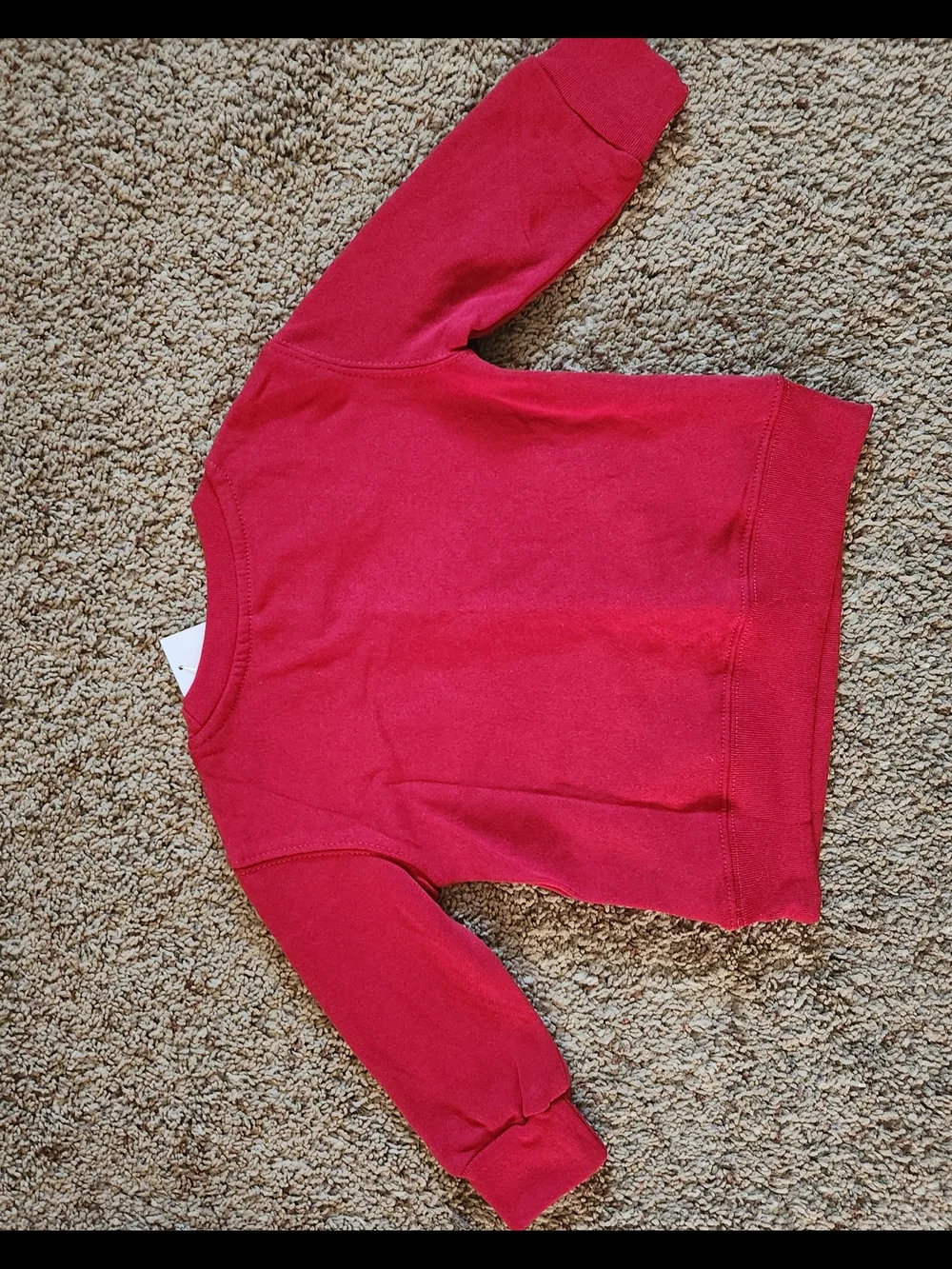 Kids Red Lion Crewneck Sweatshirt with Crown Graphic For Kids Size 18M